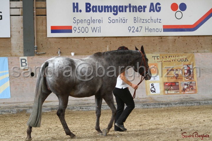 24-ApHC HIH_034.jpg